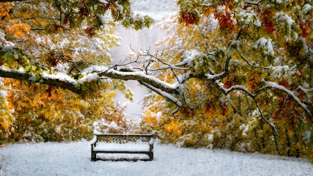 autumn-leaves-meet-winter-snow