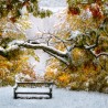 Autumn’s snow with chilling breeze….